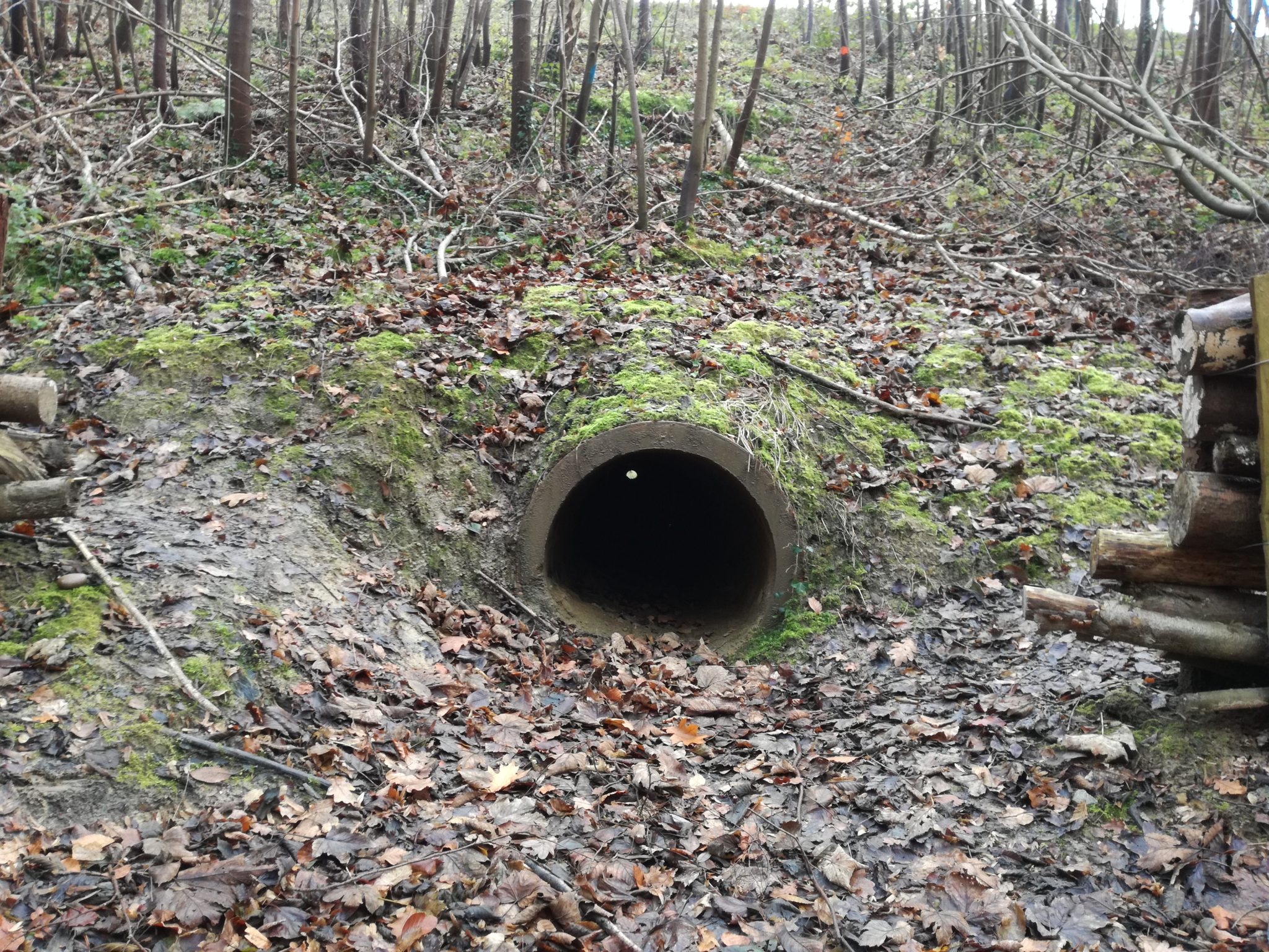 Tunnels and culverts Zoniënwoud